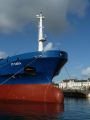 Bulbe ST SARA - 01 novembre 2011.JPG